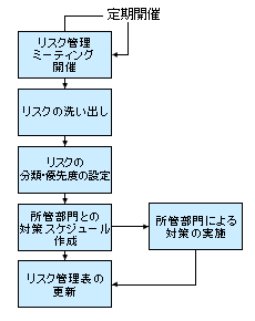 図1：リスクの管理プロセスの例