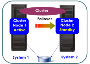 cluster 1