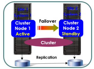 cluster 3