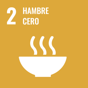 Objetivo 2 Agenda 2030