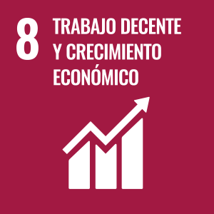 Objetivo 8 Agenda 2030