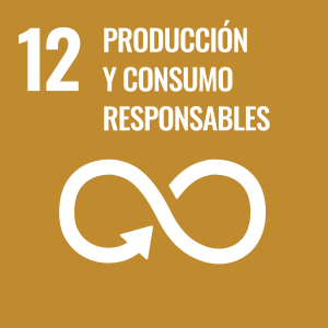 Objetivo 12 Agenda 2030