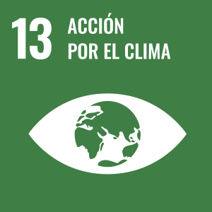 Objetivo 13 Agenda 2030