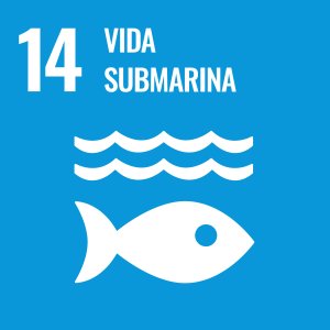 Objetivo 14 Agenda 2030