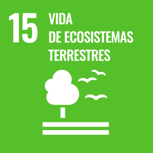 Objetivo 15 Agenda 2030