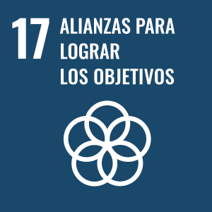 Objetivo 17 Agenda 2030