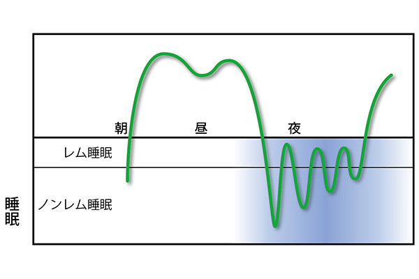 【図３】深く眠るノンレム睡眠のときも、脳は休んでいない。