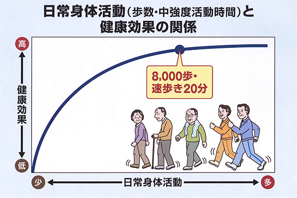 日常身体活動と健康効果の関係