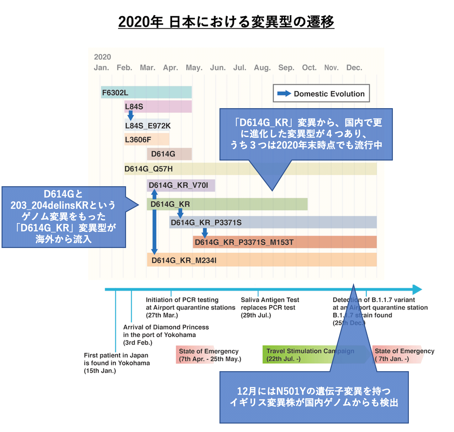 2020年 日本における変異型の遷移