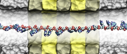 DNA-sekvensiering