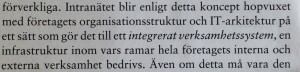 Intranätet blir enligt detta koncept hopvuxet med företagets organisationsstruktur och IT-arkitektur på ett sätt som gör det till ett integrerat verksamhetssystem, en infrastruktur inom vars ramar hela företagets interna och externa verksamhet bedrivs